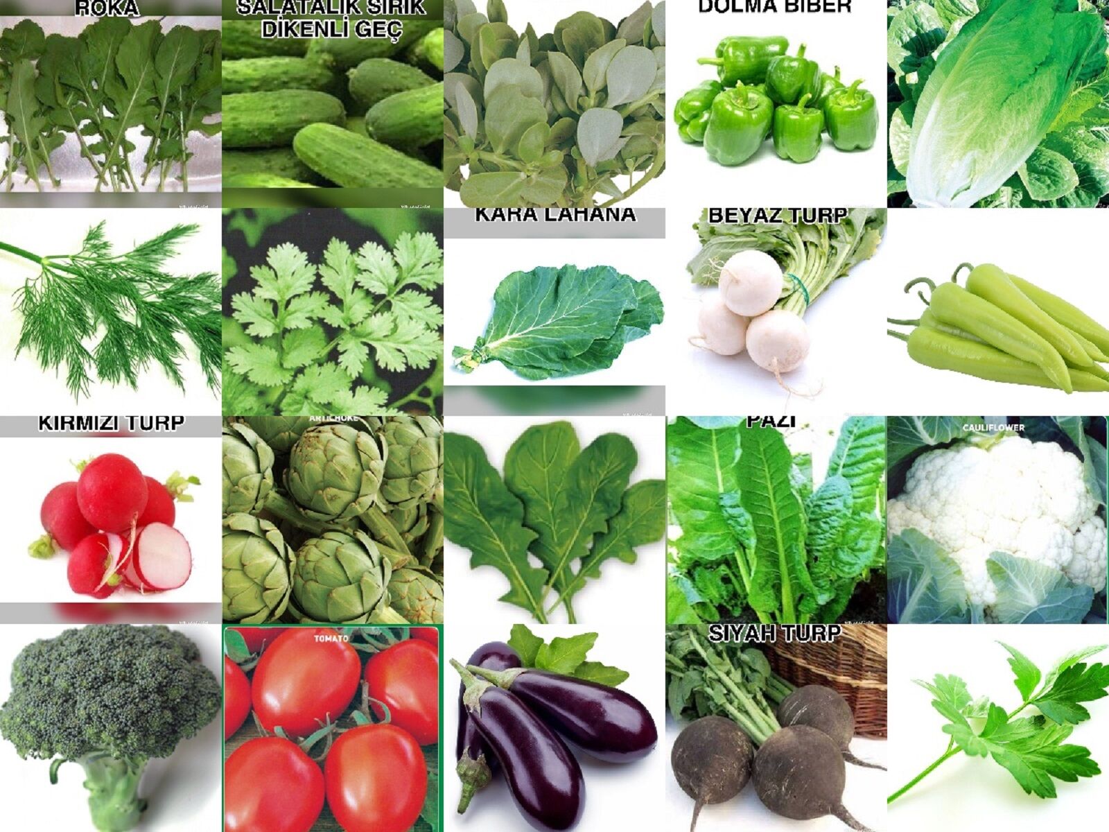 YERLİ 20 ÇEŞİT TOHUM SETİ-2 ORT 4000 AD+GÜBRE