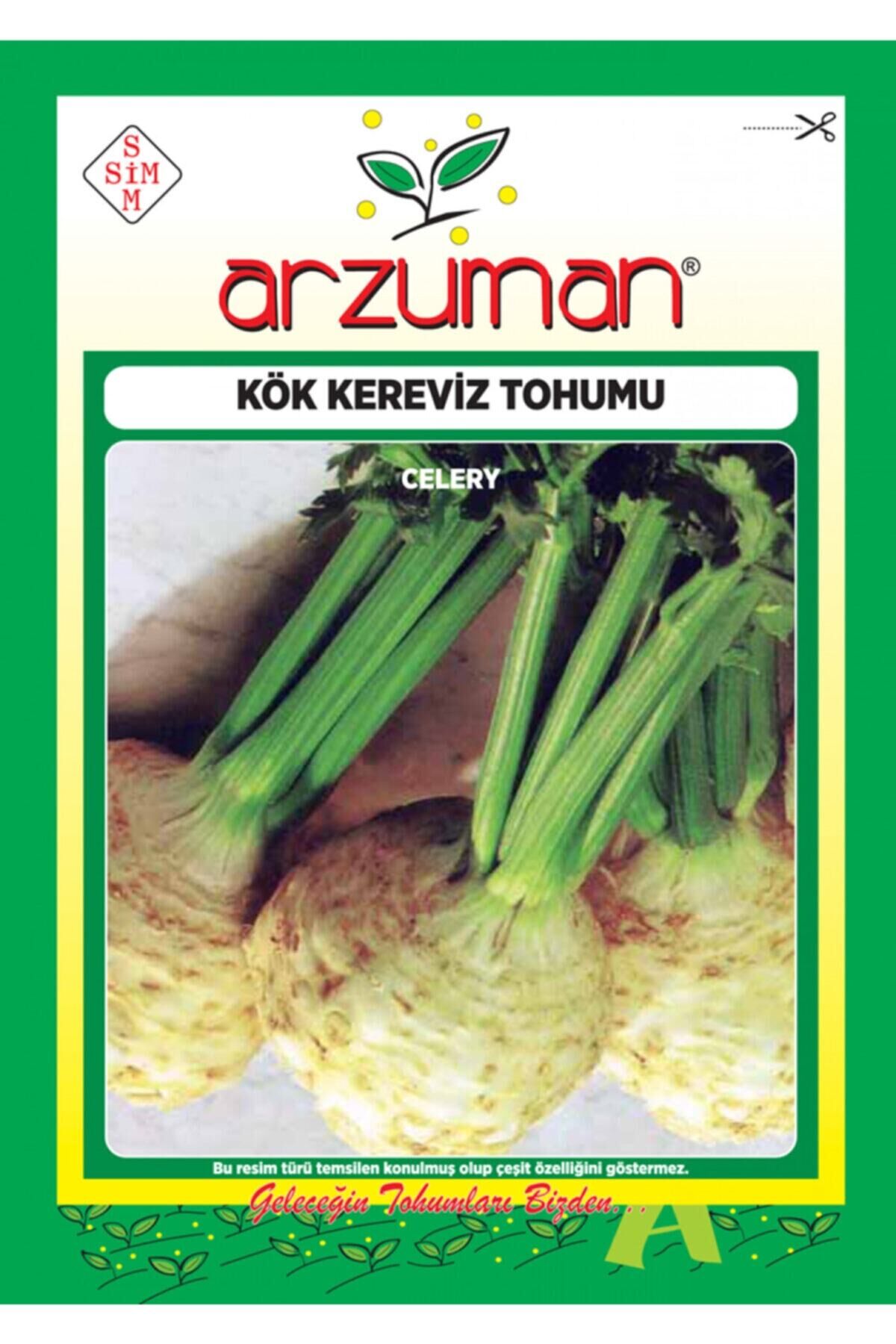 Karahasanoğlu Tarım Kök Kereviz Tohumu 10 Gr Ort 2000 Ad Tohum
