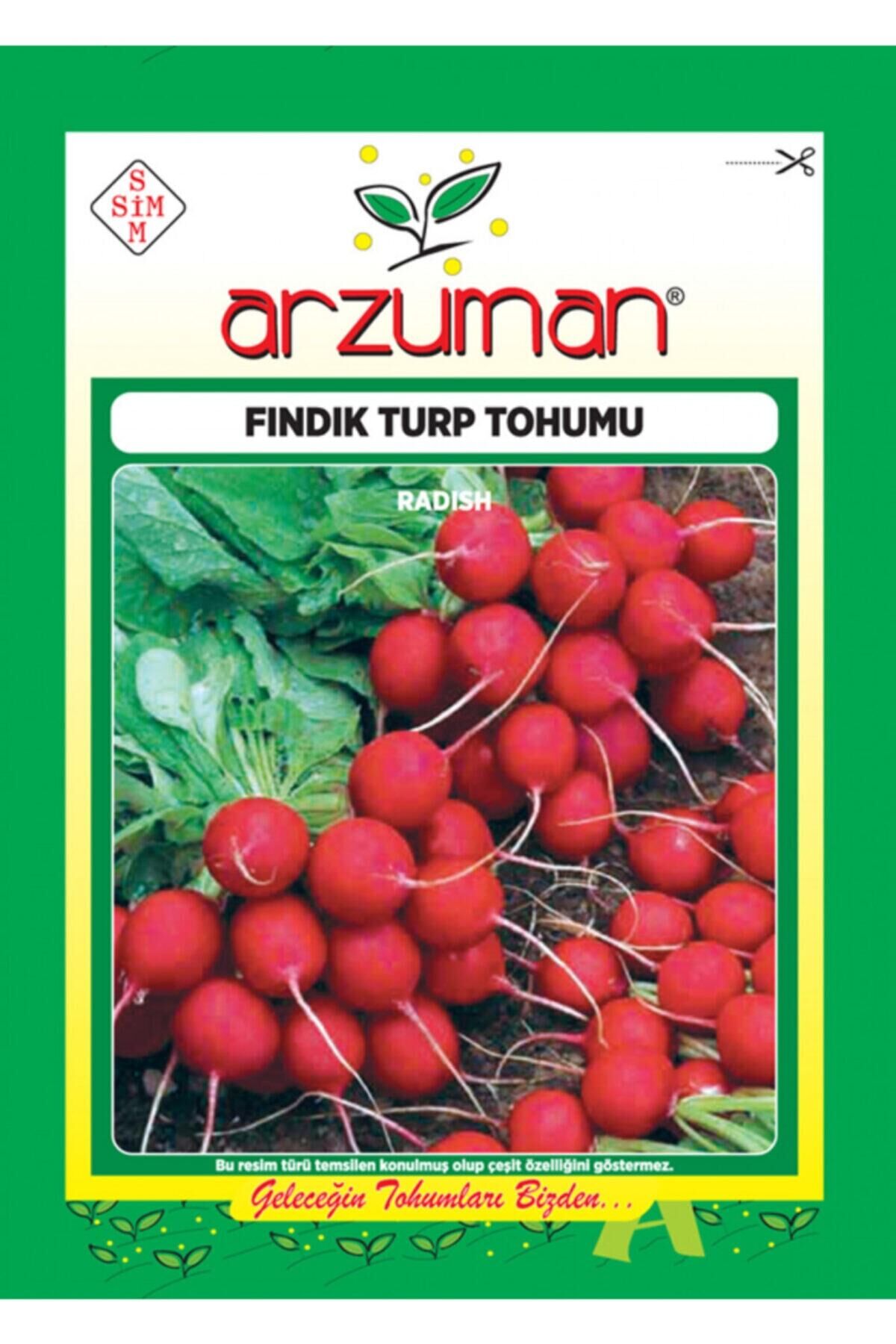 Karahasanoğlu Tarım Fındık Turp Tohumu 10 Gr 0rt 900 Ad Tohum
