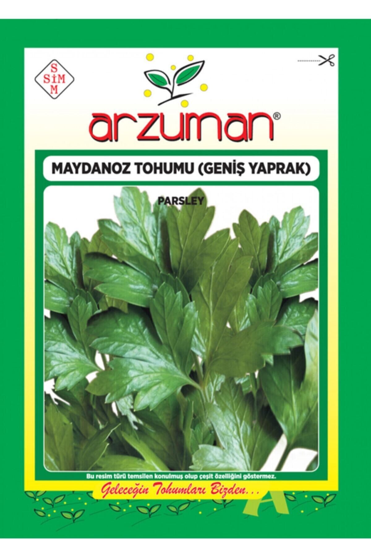Karahasanoğlu Tarım Geniş Yaprak Maydanoz Tohumu 10 Gr Ort 500 Ad Tohum
