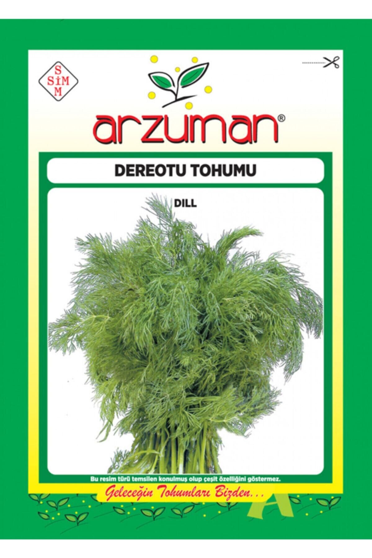 Karahasanoğlu Tarım Dereotu Tohumu 10 Gr Ort 6000 Ad Tohum