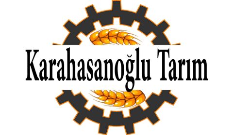 KUDRET NARI TOHUMU (5 AD)