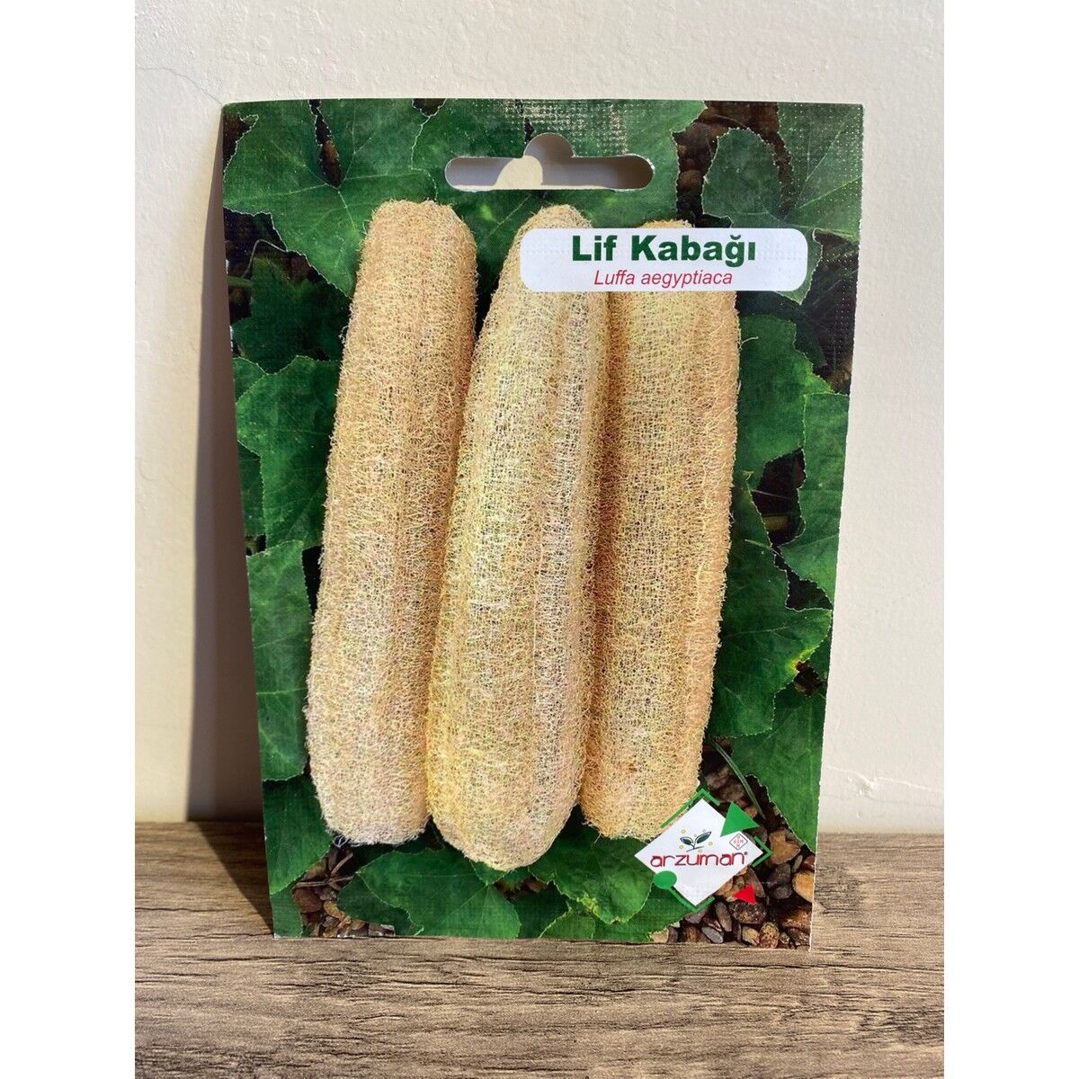 Kabak Lifi Tohumu Arzuman