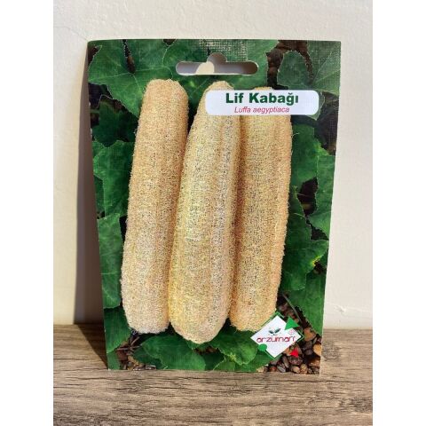 Kabak Lifi Tohumu Arzuman