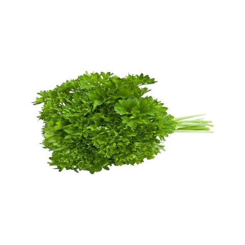 Kıvırcık Maydanoz (Frenk Maydanoz) 10 gr