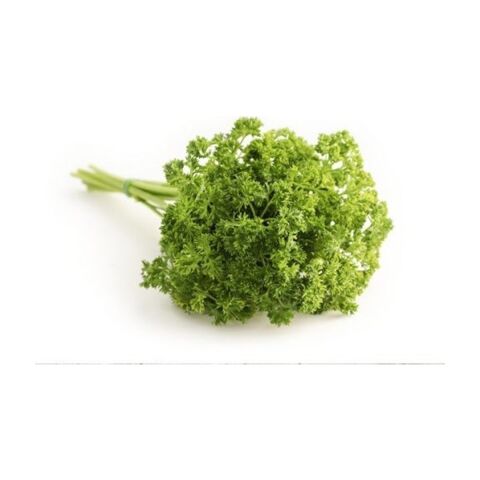 Kıvırcık Maydanoz (Frenk Maydanoz) 10 gr