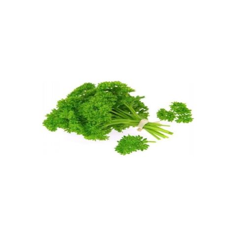 Kıvırcık Maydanoz (Frenk Maydanoz) 10 gr