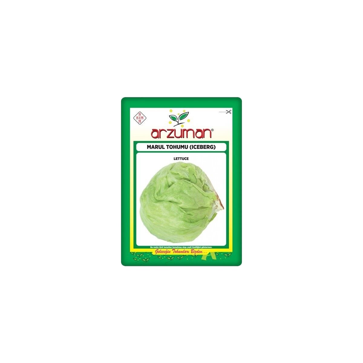 Iceberg Marul Tohumu 5 gr Göbekli Marul