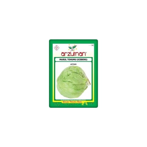 Iceberg Marul Tohumu 5 gr Göbekli Marul