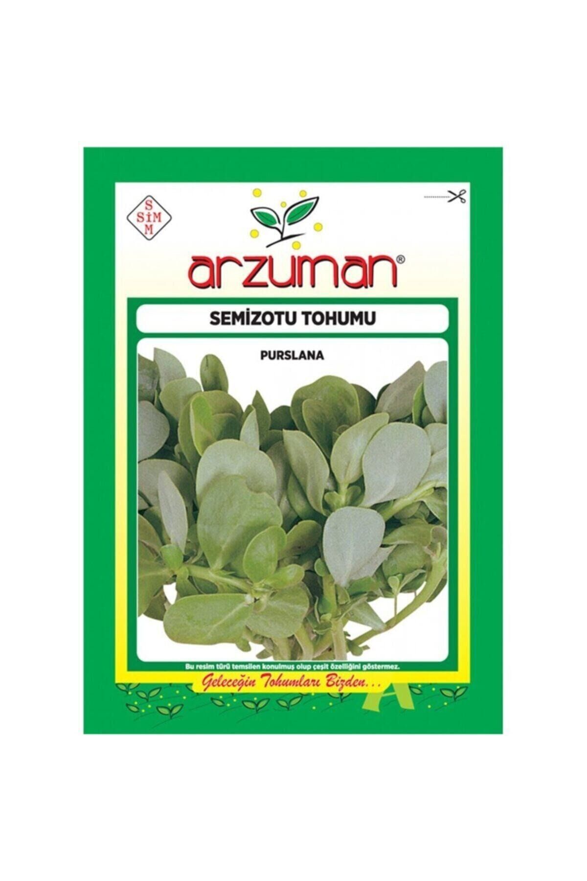 Geniş Yapraklı Semizotu Tohumu-10 Gram
