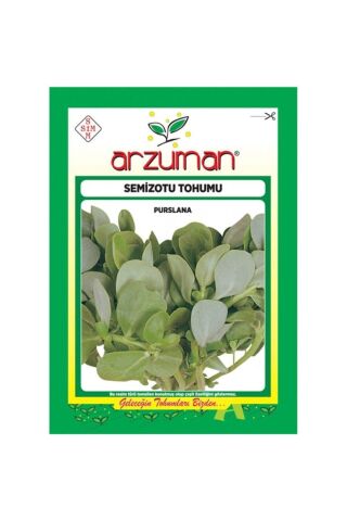 Geniş Yapraklı Semizotu Tohumu-10 Gram