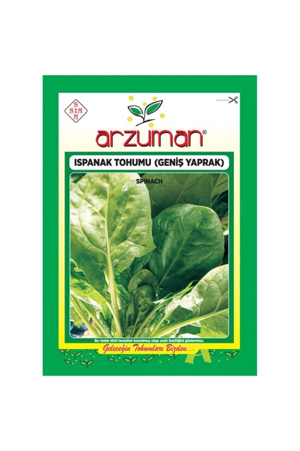 Geniş Yapraklı Ispanak Tohumu 10 Gram