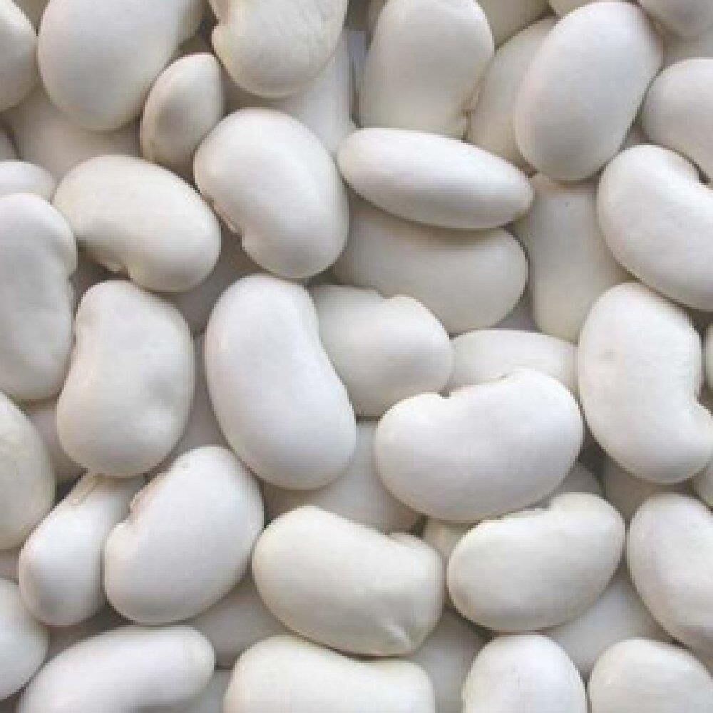 YERLİ BOMBAY İRİ TANE BEYAZ SIRIK FASULYE TOHUMU 100 GR