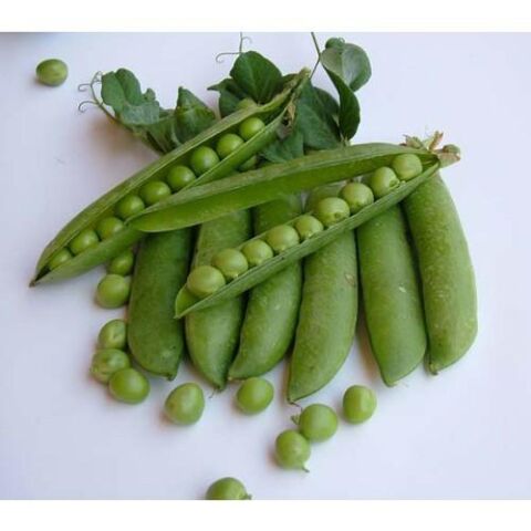 Yerli İri Tane Bezelye Tohumu (İlaçsız) 500 Gr