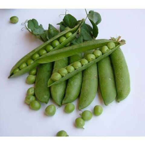 Yerli İri Tane Bezelye Tohumu (İlaçsız) 500 Gr
