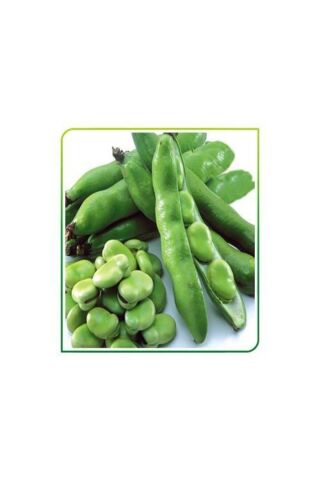 Karahasanoğlu Tarım Yerli Bakla Tohumu 500 Gr