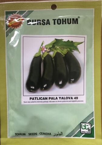 PALA PATLICAN YALOVA 49 (SİYAHIMSI MOR) 25 GR TAKRİBİ 5000 ADET TOHUM