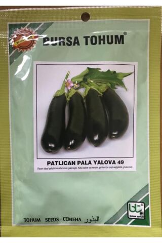 Karahasanoğlu Tarım Pala Patlıcan Yalova 49 (siyahımsı Mor) 25 Gr Takribi 5000 Adet Tohum