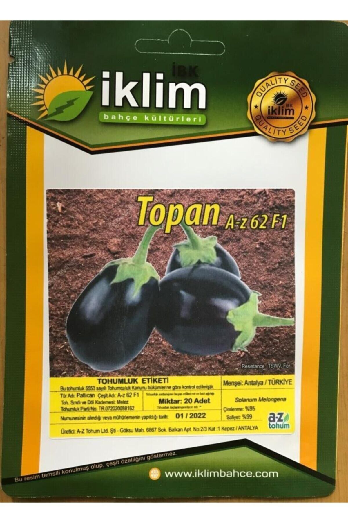 Karahasanoğlu Tarım Patlıcan Tohumu Hibrit A-z-62-f1 Topan Patlıcan - 20 Adet Tohumluk