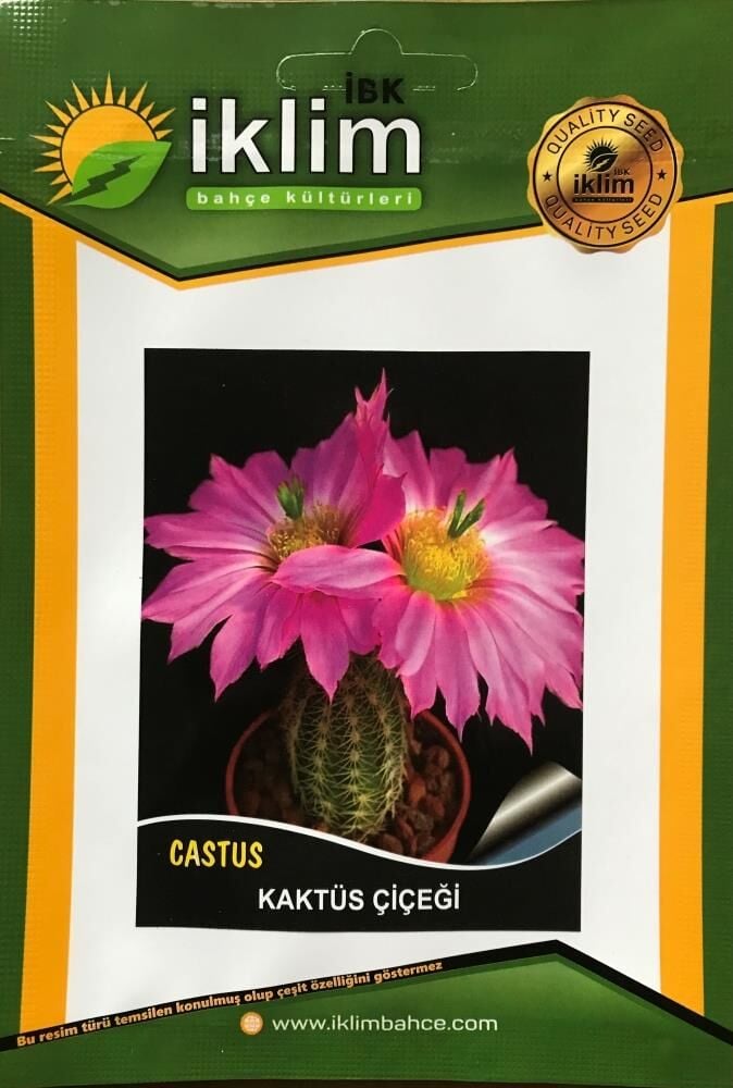 KAKTÜS ÇİÇEĞİ TOHUMU - CRASSULA LYCOPODIOIDES (~ Takribi 50 Tohum)