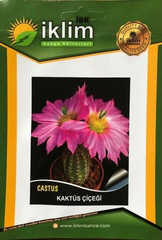 KAKTÜS ÇİÇEĞİ TOHUMU - CRASSULA LYCOPODIOIDES (~ Takribi 50 Tohum)