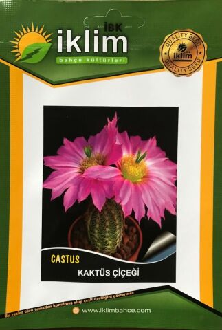 KAKTÜS ÇİÇEĞİ TOHUMU - CRASSULA LYCOPODIOIDES (~ Takribi 50 Tohum)