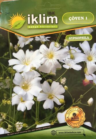 Çöven Çiçek Tohumu 1 - Gypsophila elegans (~ Takribi 40 Tohum)