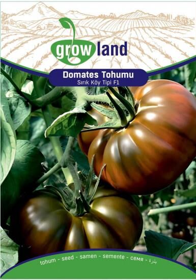 KÖY TİPİ SIRIK DOMATES TOHUMU GÜLHAN-F1 (10 ADET)