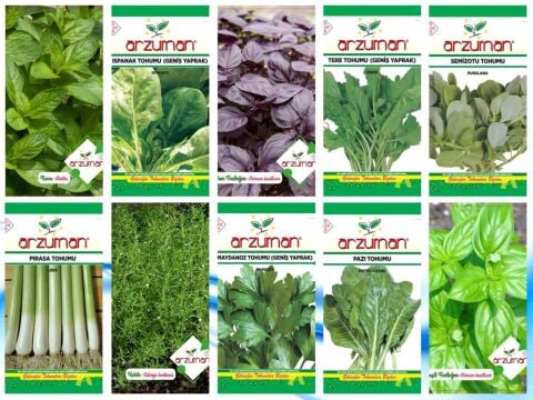 SERTİFİKALI YERLİ 10 ÇEŞİT YEŞİLLİK TOHUM SETİ-2 (SOLUCAN GÜBRESİ HEDİYE)