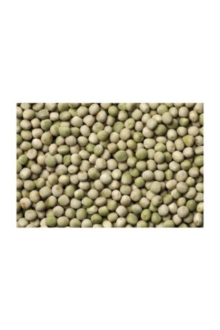 Karahasanoğlu Tarım Yerli Yem Bezelyesi Tohumu (KÜLÜR) 500 gr