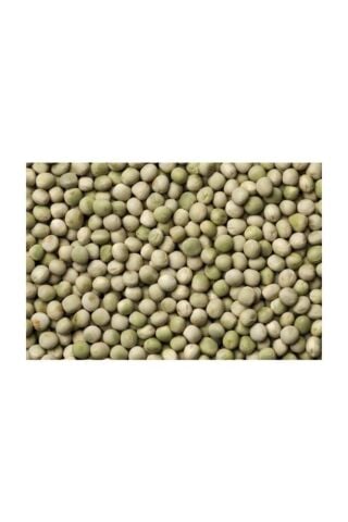 Yerli Yem Bezelyesi Tohumu (Külür) 100 gr