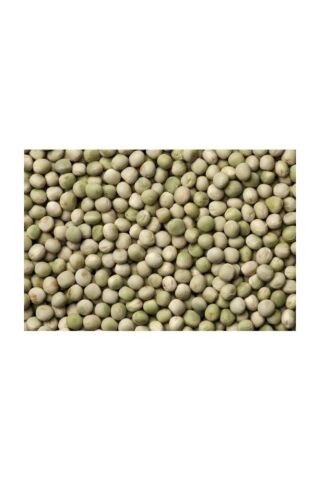Yerli Yem Bezelyesi Tohumu (Külür) 100 gr