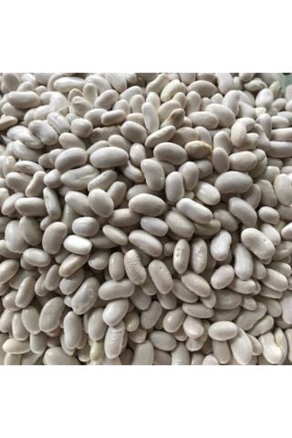 Karahasanoğlu Tarım Yerli Sırık Alman Ayşe Fasulye Tohumu 500 Gr