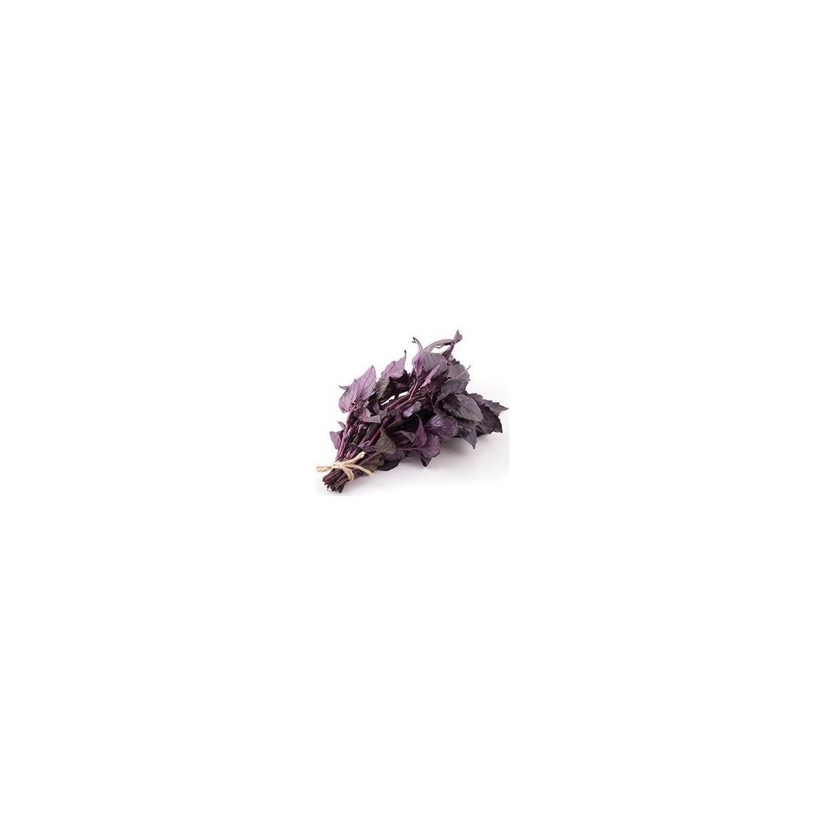 Seeds Reyhan Tohumu Fesleğen Mor Renk 1 gr 1250'li
