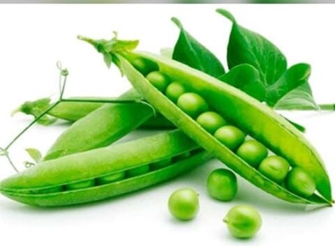 Yerli İri Tane Bezelye Tohumu (İlaçlı) 500 Gr