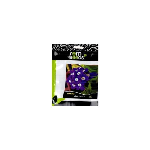 Seeds Mine Çiçeği Tohumu 3 Verbana 40'lı