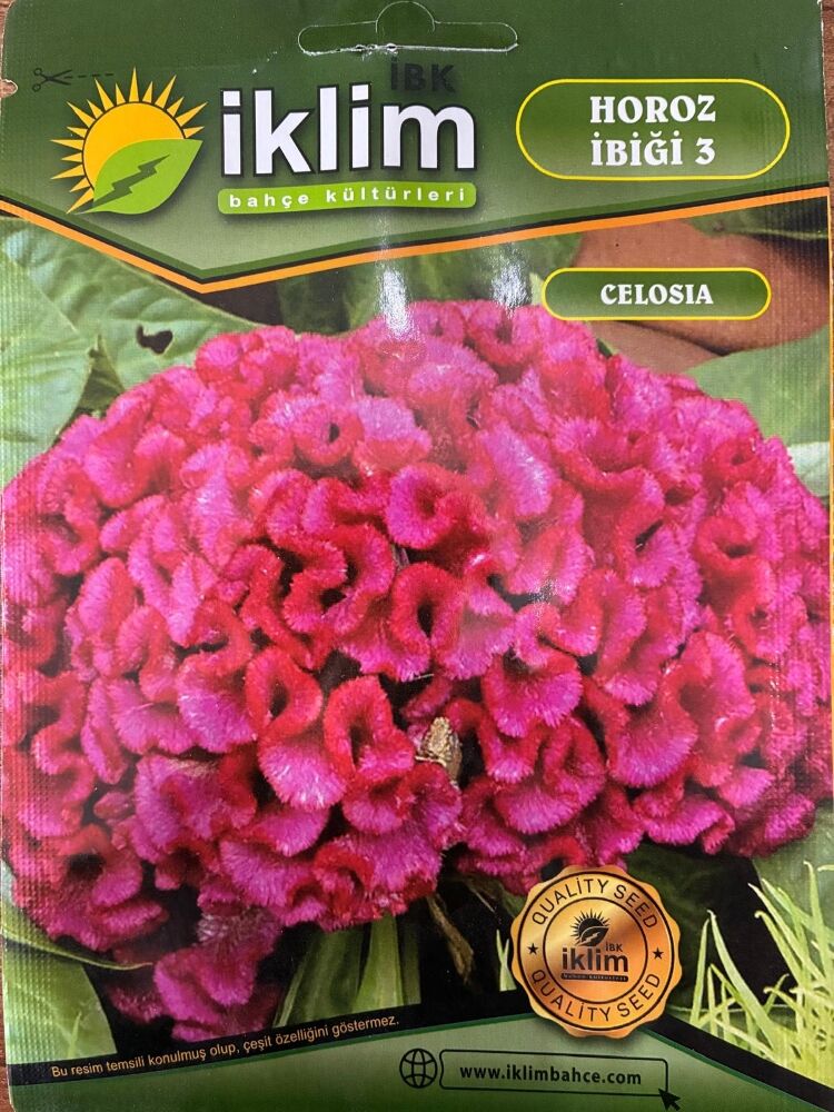 KIRMIZI HOROZ İBİĞİ ÇİÇEĞİ TOHUMU-3