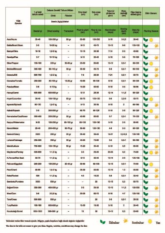 Yerli Ata Tohumu Geniş Yaprak Ispanak 100 Adet