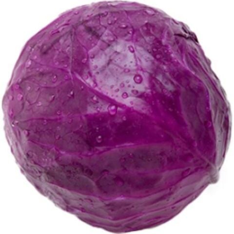 Yerli Ata Tohumu Kırmızı Mor Lahana 50 Adet