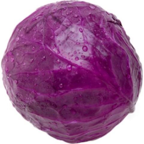 Yerli Ata Tohumu Kırmızı Mor Lahana 50 Adet