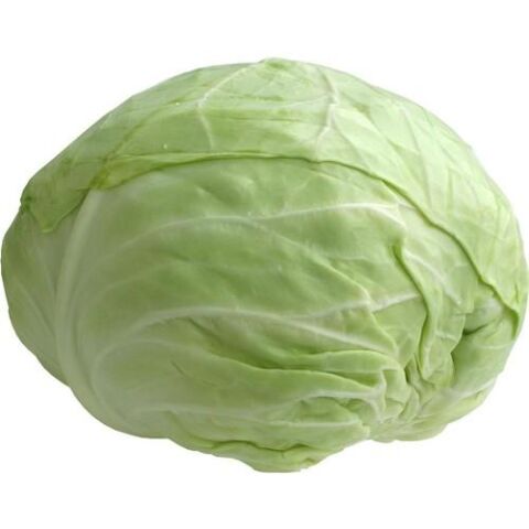 Yerli Ata Tohumu Beyaz Top Lahana 100 Adet