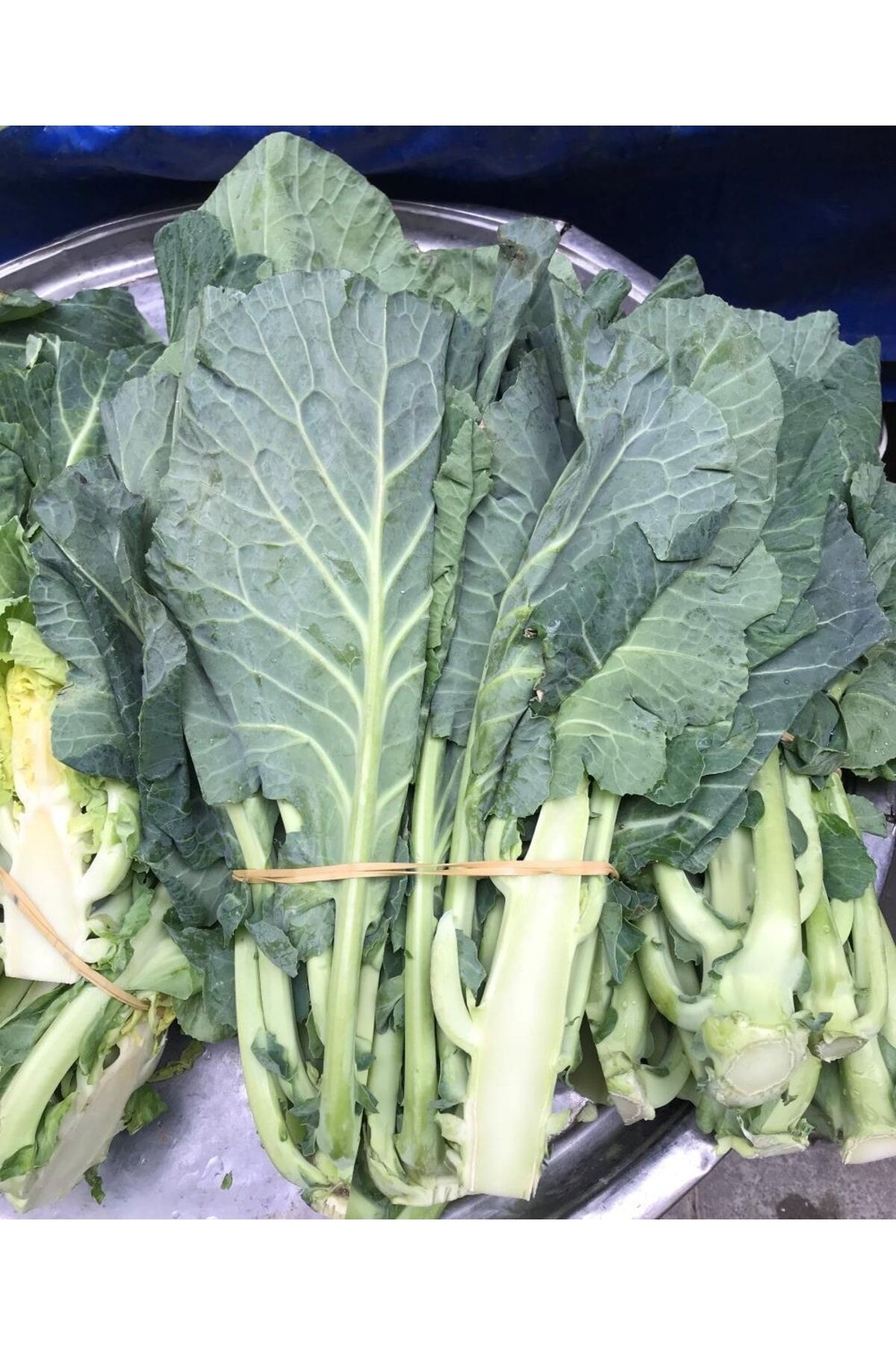 Yerli Ata Tohumu Kelem Azman Lahanası 100 Adet