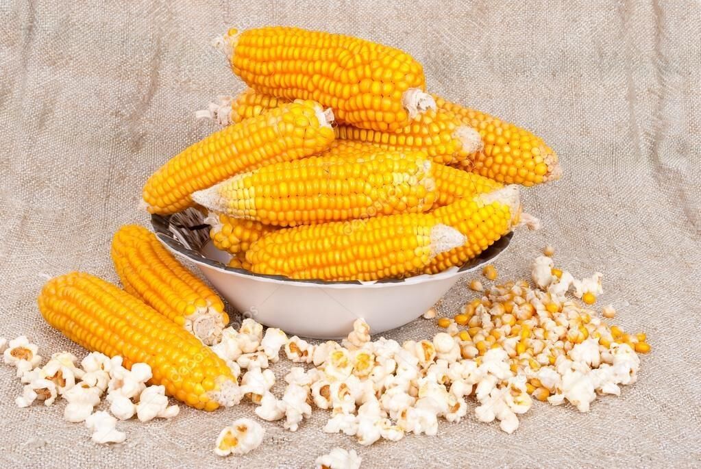 Yerli Ata Tohumu Patlayan Mısır 25 Gr