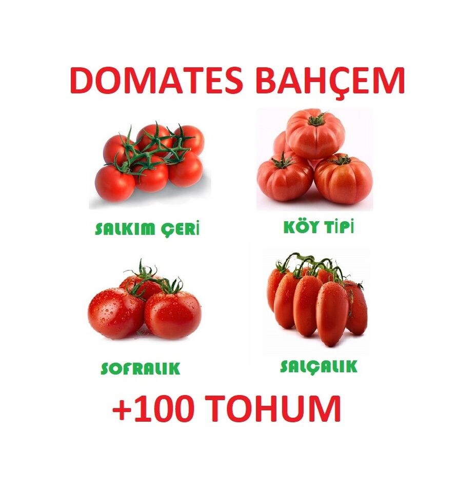Toplam 100 Domates Tohumu Salkım Çeri Domates Köy Domates Sofralı