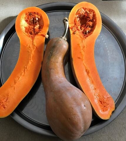 Yerli Ata Tohumu Ampul Bal Kabağı 5 Adet