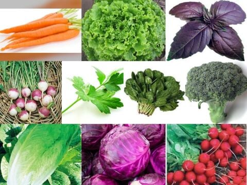 YERLİ 10 ÇEŞİT KIŞLIK TOHUM SETİ-2 ORT 2000 AD+GÜBRE