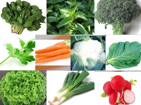 YERLİ 10 ÇEŞİT KIŞLIK TOHUM SETİ-3 ORT 1600 AD+GÜBRE