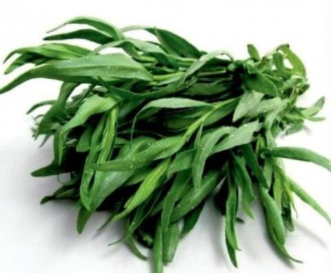 Yerli Ata Tohumu Tarhun 10 Adet