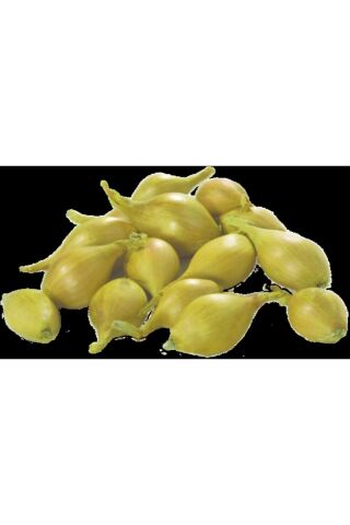 Karahasanoğlu Tarım Yerli Arpacık Soğan 3 Numara (1 KG)