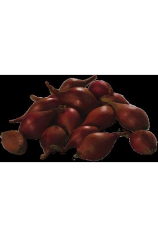 Karahasanoğlu Tarım Yerli Arpacık Soğan 3 Numara (1 KG)
